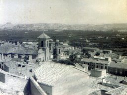 Mula Antigua serie-2